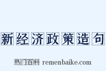 新经济政策造句是什么意思的图片